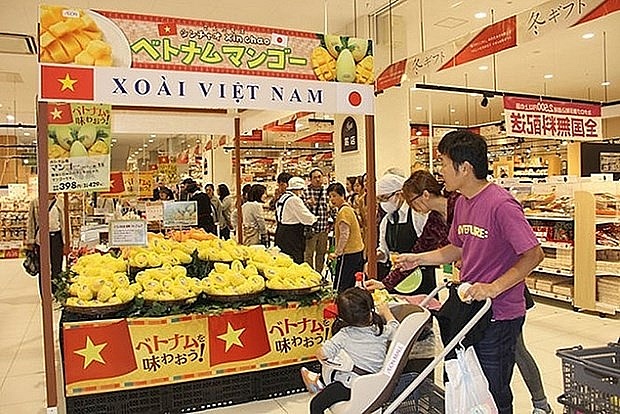 Hanoi moves to help firms join foreign distribution systems | Business | Vietnam+ (VietnamPlus)