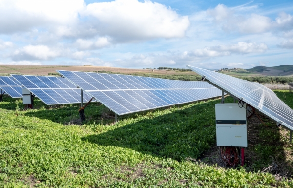 Sustainability a top priority for CxOs - Vimarsana News