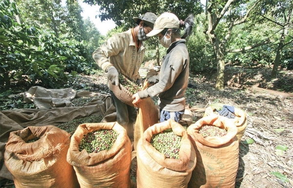 Rules paradox hinders plans for EU exports - Vimarsana News