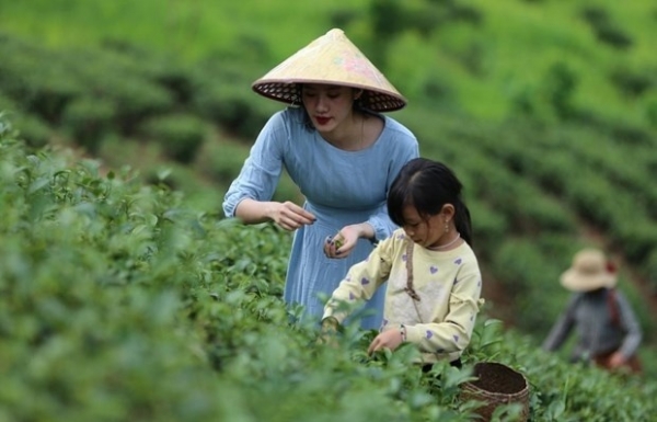 Agrotourism breathes fresh air to rural development - Vimarsana News