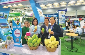 Dong Thap’s mangos in the spotlight