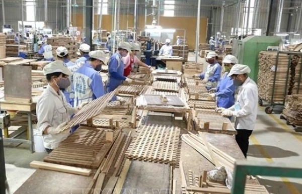 EUDR imposes new regulations on timber exporters - Vimarsana News