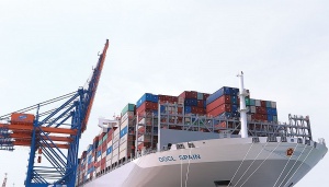 Addressing the weaknesses in trade and supply chains