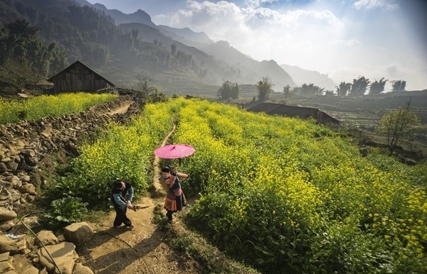 Conquering Fansipan-the Roof of Indochina - Vimarsana News