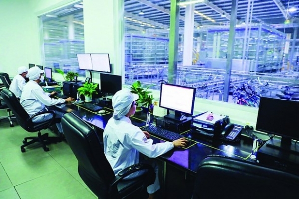 IT among most needed jobs in Vietnam: Experts - Vimarsana News