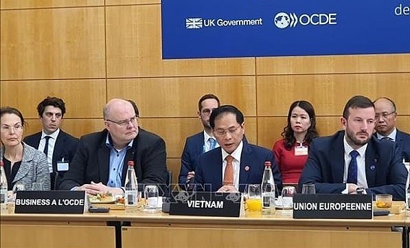 Foreign Minister highlights Vietnam’s determination for green transition | Environment | Vietnam+ (VietnamPlus)