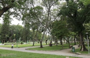 HCM City plans to have more urban green spaces