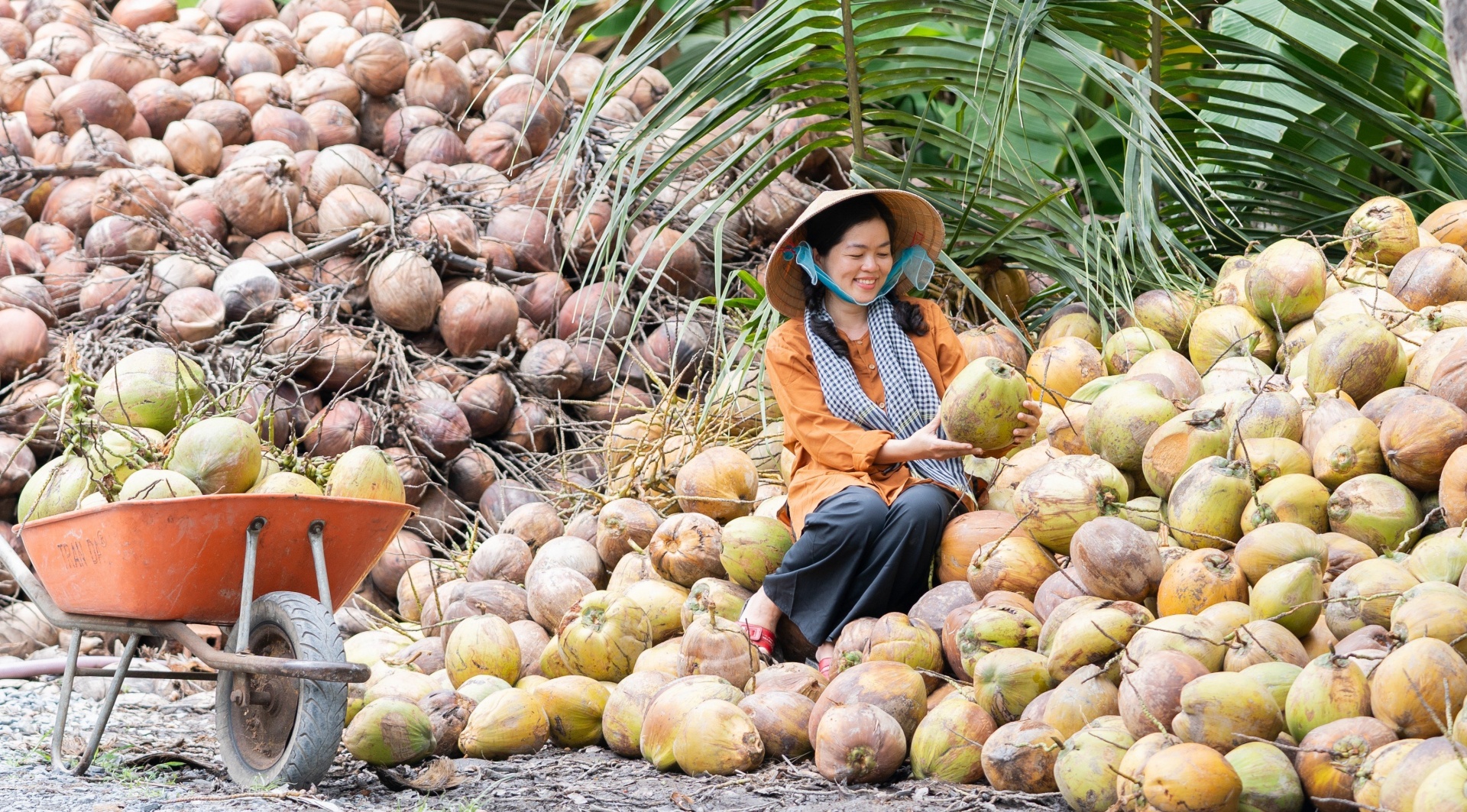 3.	AIG Group focuses on building Vietnam&rsquo;s organic raw material areas and a system of factories applying technology to process high-value food ingredients