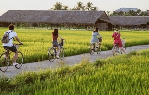 Vietnam needs new regulations to develop agri-tourism real estate: experts