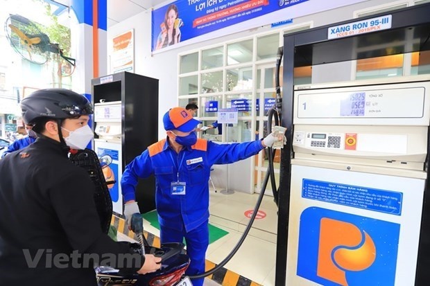 Petrol suffers too many taxes: experts