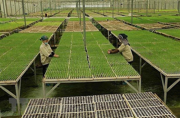 Hanoi issues policies to boost agricultural, rural development | Society | Vietnam+ (VietnamPlus)