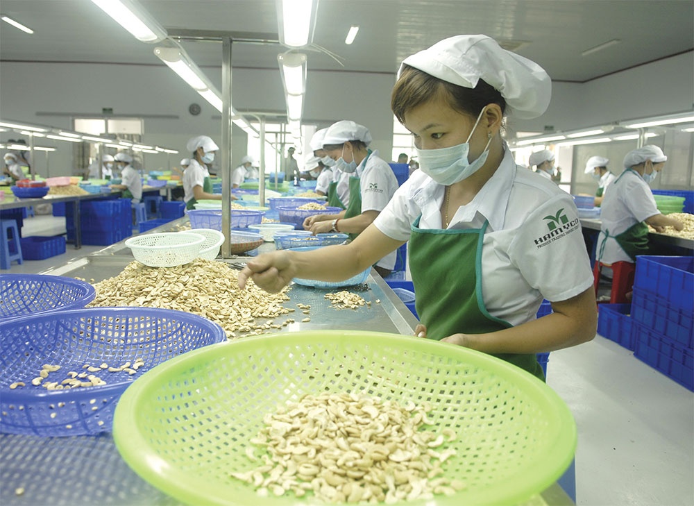 Agro-forestry-fishery sector displays vitality