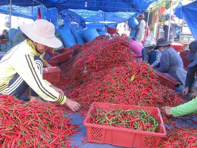 No restriction on Vietnamese chilli to South Korea
