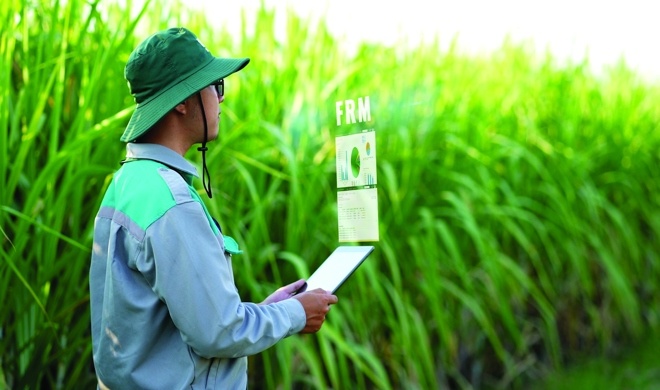 Vietnamese agribusiness TTC AgriS bags $100 million unsecured loan