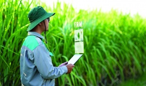 Vietnamese agribusiness TTC AgriS bags $100 million unsecured loan