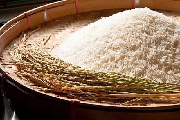 Thai exporters concerned about price hikes after India’s rice export ban | ASEAN | Vietnam+ (VietnamPlus)