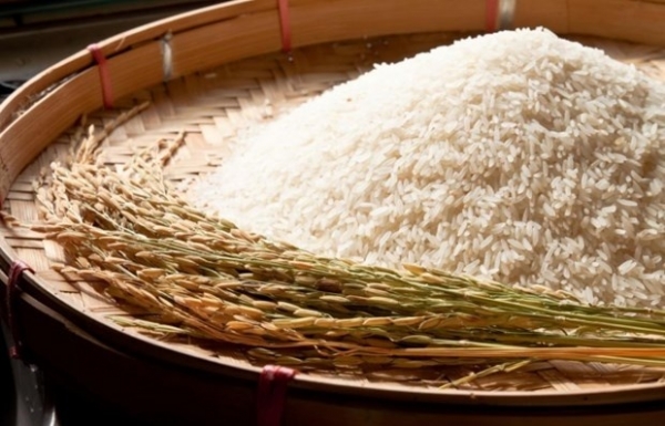 Thai exporters concerned about price hikes after India's rice export ban - Vimarsana News