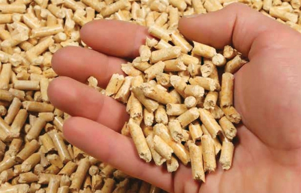 Vietnamese pellet market experiencing a reshuffle - Vimarsana News