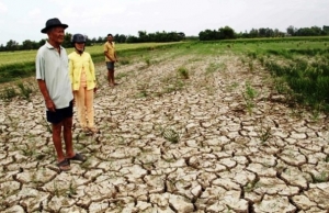 Vietnam’s climate change strategy must be sped up