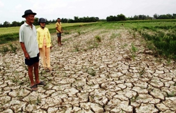 Vietnam's climate change strategy must be sped up - Vimarsana News
