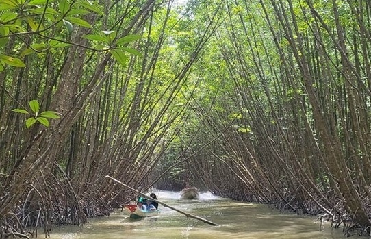 Ca Mau moves to sustainably develop community-based ecotourism