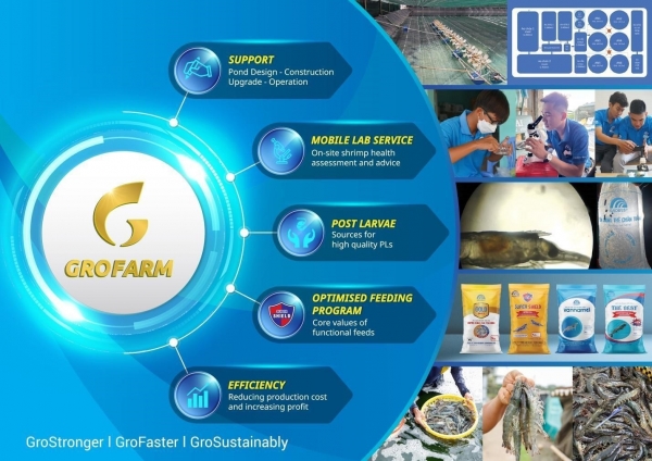 Grobest Vietnam introduces sustainable shrimp farming model - Vimarsana News