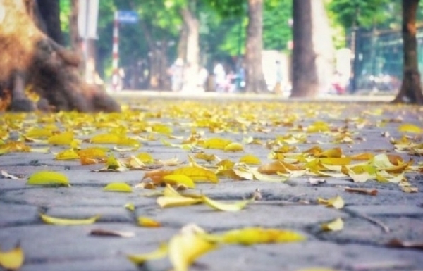 First Hanoi Fall Festival to be held - Vimarsana News