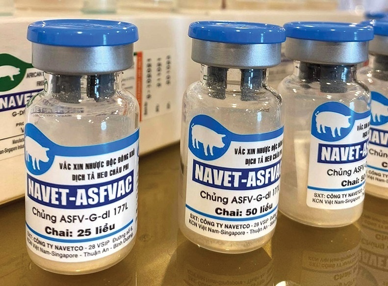 ASF vaccines ready for commercial production