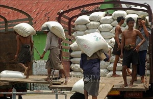 Myanmar eyes to increase rice exports in coming months