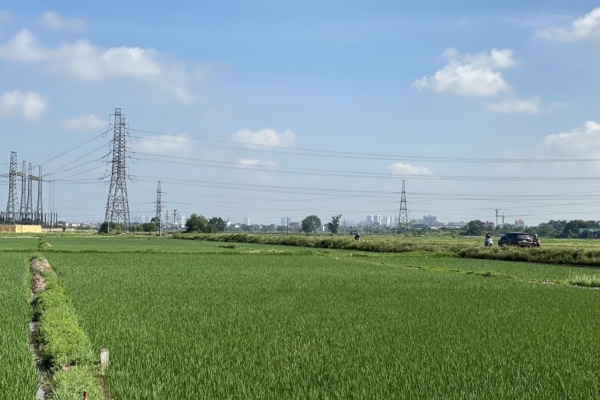 EVNNPT accelerates construction of Nho Quan-Phu Ly-Thuong Tin transmission line - Vimarsana News
