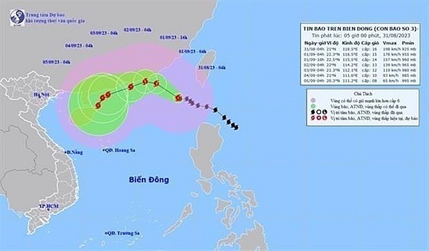 Typhoon Saola causes strong wind at sea | Environment | Vietnam+ (VietnamPlus)