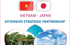 Vietnam, Japan boast extensive strategic partnership
