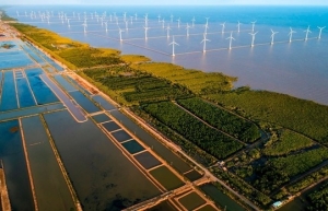 Việt Nam tăng cường hợp tác quốc tế ứng phó với biến đổi khí hậu