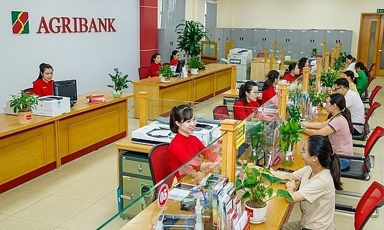 Banks join in promoting green credit | Business | Vietnam+ (VietnamPlus)