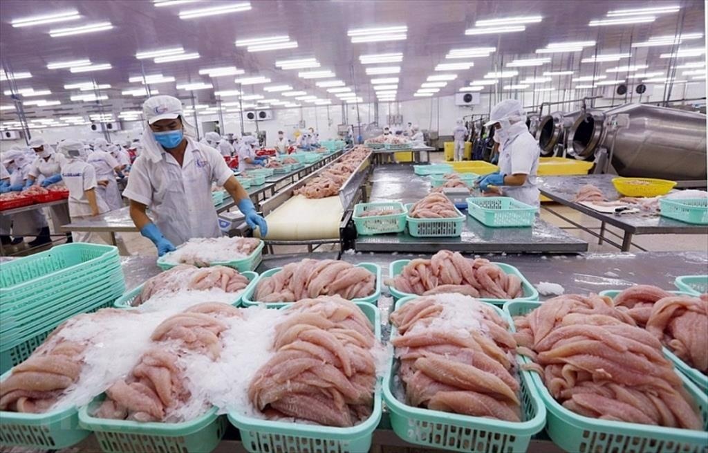 Brighter prospects for seafood exports