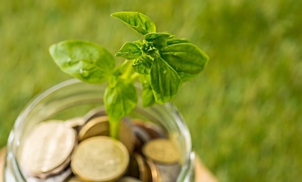 Vietnam's first local currency sustainability-linked bonds aim to boost economy - Vimarsana News