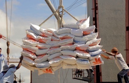 Indonesia mulls importing rice from many countries