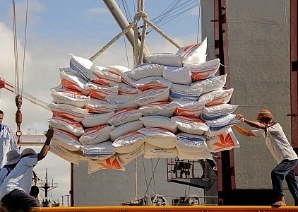Indonesia mulls importing rice from many countries | World | Vietnam+ (VietnamPlus)