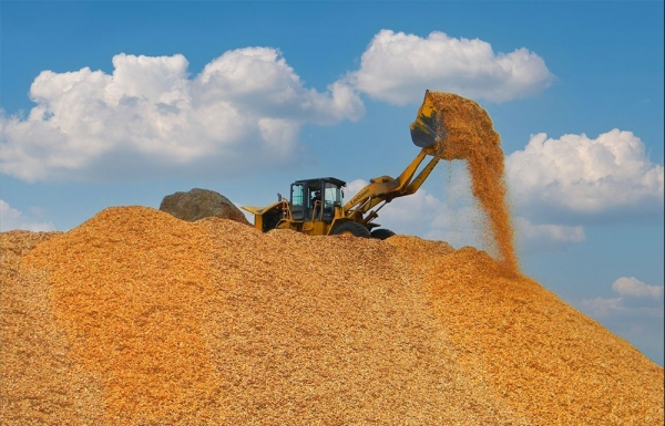 Wood chip groups spreading activities to fresh pastures - Vimarsana News