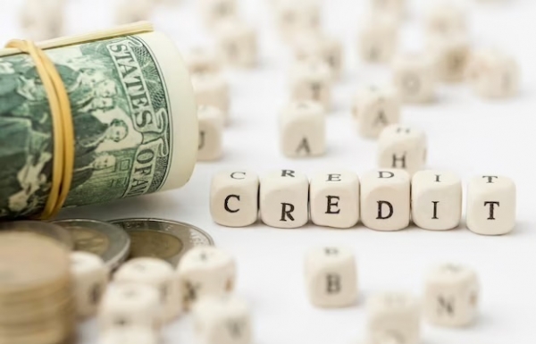 Green credit balance figures on positive trajectory - Vimarsana News