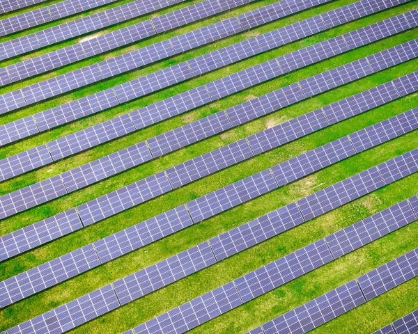 Electricity prices must reflect production costs for green transition - Vimarsana News