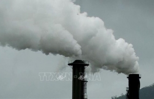 Việt Nam nỗ lực phát triển thị trường carbon nội địa