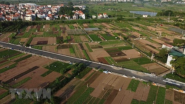 Hanoi promotes specialised farming areas | Society | Vietnam+ (VietnamPlus)