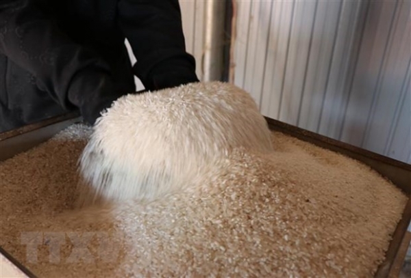 Philippines seeks measures for cutting rice prices - Vimarsana News
