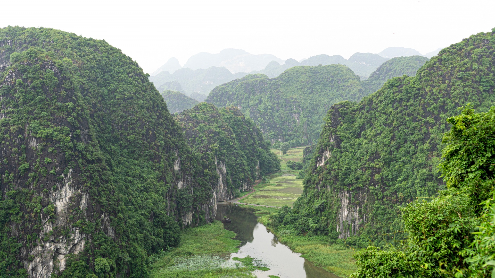 Vietnam poised to become large-scale carbon credit market