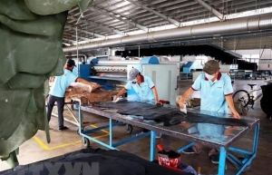 Binh Duong needs around 12,000 workers by year-end