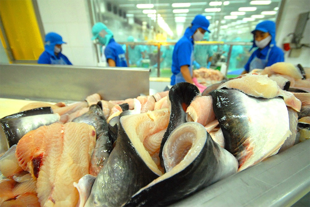 Aquatic exports to Japanese market left to flounder