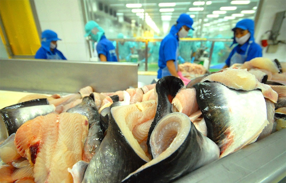 Aquatic exports to Japanese market left to flounder