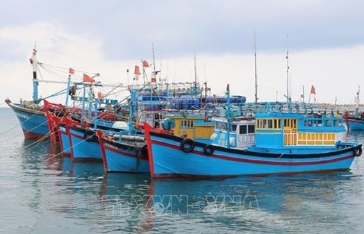 Vietnam in efforts to remove IUU fishing ‘yellow card’