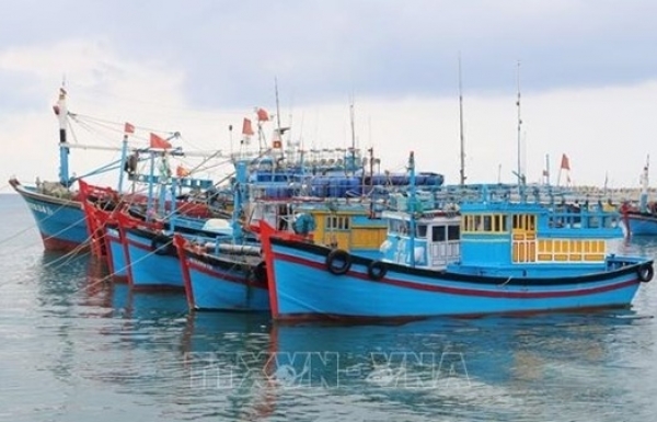 Khanh Hoa fishermen stick to the sea, trying to remove IUU 'yellow card' 